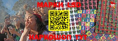 ALPHA PVP Гай