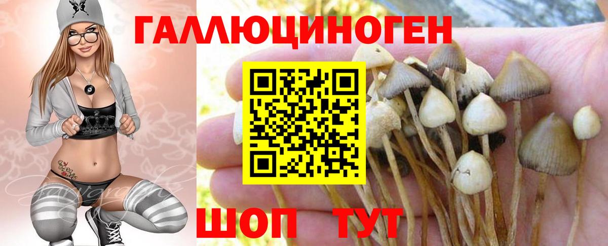 Нижневартовск  Псилоцибиновые грибы Magic Shrooms  Вход с VPN 